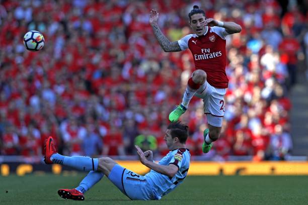 他们建议 他们建议